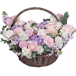 Baltica White Spray Chrysanthemum - 2, Ranunculus Pink - 5, Peony rose pink 'OHara' - 15, Blue/purple hydrangea - 3, lisianthus - 4, Matthiola Lilac - 5, Momoko Chrysanthemum - 3, Medium Basket, Oasis, Ozotamnus, Eucalyptus