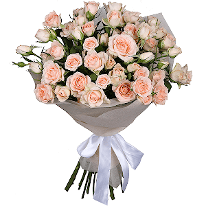 Spray rose 50 cm (multiple small blooms on a stem) - 11, Wrapping Paper