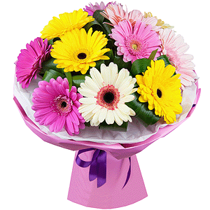 Playful gerberas with delivery Tula