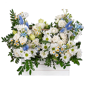 Bacardi White Spray Chrysanthemum - 2, lisianthus - 2, Chamomile - 6, Spray rose: white, cream, light pink 50 cm - 4, Wooden pot, Oasis, Oksipetalum, Pistachio, Dried flowers in assortment