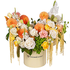 Golden-Crowned  Russia with delivery Tula