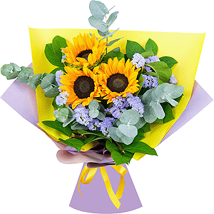Sunflower - 5, Salal, Eucalyptus Cinerea, Blue Statice, Wrapping Paper, Ribbon