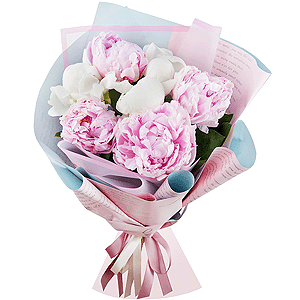 Delicate peonies with delivery Tula