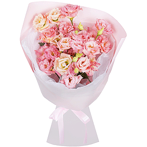 Pink Lisianthus (Eustoma) - 11, Wrapping Paper