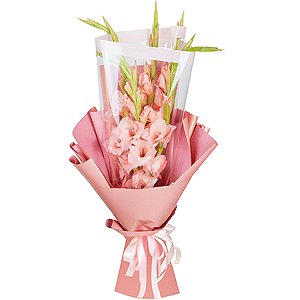 Pink Gladiolus - 11, Wrapping Paper, Ribbon