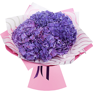 Bouquet of lilac hydrangeas with delivery Tula