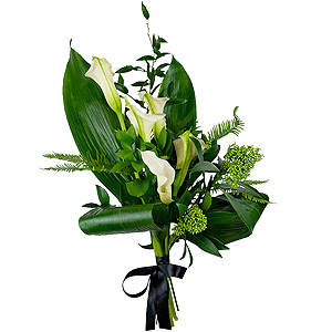 Calla lilies - 9, Skimmia, Ambrella, Aspidistra (1 pc.), Ruscus italian, Ruscus, Ribbon