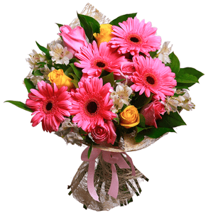 Pink rose 50 cm - 7, Yellow rose 50 cm - 7, Gerbera pink - 7, Alstromeria white, soft pink - 8, Salal, Sisal, Ribbon