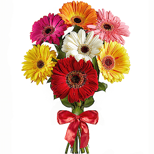 Gerbera yellow - 3, Gerbera white - 1, Gerbera daisies - 1, Gerbera red - 1, Gerbera pink - 1, Purple gerbera - 2, Ribbon, Aspidistra (1 pc.)