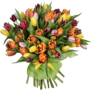 Happy spring with delivery Tula