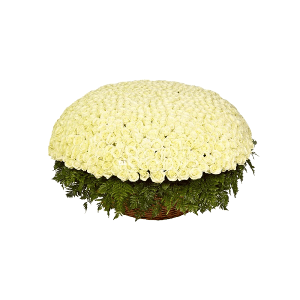 1001 White roses with delivery Tula