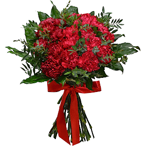 Carnation red - 27, Fatsia (1 pc.), Ribbon, Eucalyptus parvifolia (1 pc.), Pistachio