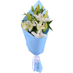Arrangement of 3 white lilies with delivery Tula