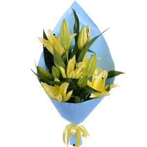 Arrangement of 3 yellow lilies with delivery Tula