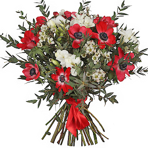 Exotic Anemones with delivery Tula