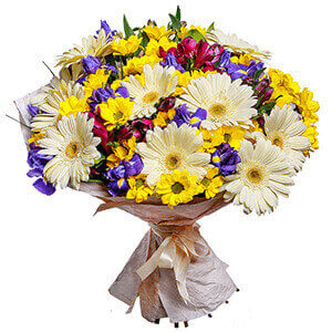 Irises - 15, Bacardi Yellow Spray Chrysanthemum - 9, Alstromeria lilac, purple - 9, Gerbera white - 13, Salal, Wrapping Paper, Ribbon