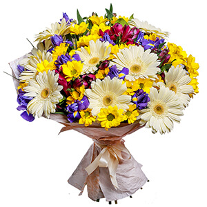 Irises - 13, Bacardi Yellow Spray Chrysanthemum - 7, Alstromeria lilac, purple - 7, Gerbera white - 11, Salal, Wrapping Paper, Ribbon