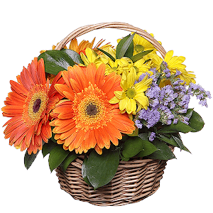 Blossoming Meadow with delivery Tula
