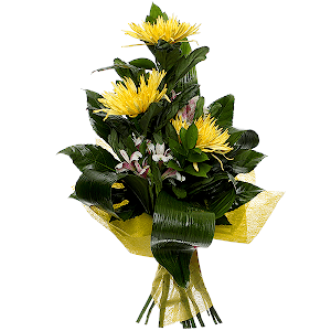 Bouquet for a Real Man with delivery Tula