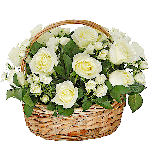 White rose 50 cm - 17, Spray rose: white, cream, light pink 50 cm - 16, Ruscus, Oasis, Medium Basket