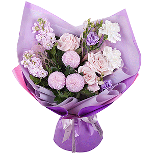 Purple twilight with delivery Tula