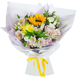 Sunny hello with delivery Tula