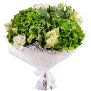 Green Hydrangea - 3, lisianthus - 5, Pittosporum, Jute 1 meter, Ribbon