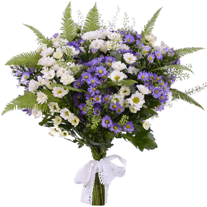 Santini White Spray Chrysanthemum - 11, Lilac aster - 7, Green bell (1 pc.), Ambrella, Ribbon
