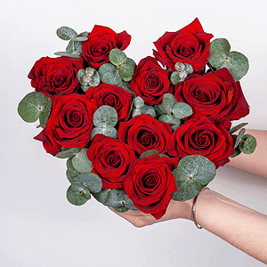 Scarlet Edges with delivery Tula