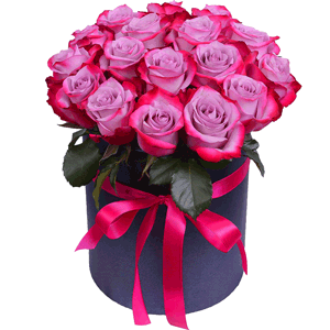 Violet roses with delivery Tula