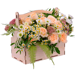 Chamomile - 7, Santini White Spray Chrysanthemum - 4, Spray rose: white, cream, light pink 50 cm - 7, Wooden pot, Oasis, Pistachio, Ambrella, Sedum