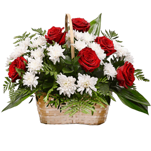 Red rose 50 cm - 8, Baltica White Spray Chrysanthemum - 7, Large Basket, Oasis, Aspidistra (1 pc.), Fern (1 pc.), Ruscus