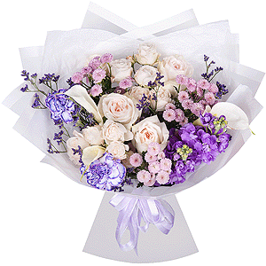 Fascinating beauty with delivery Tula