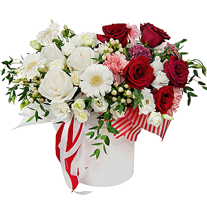 White rose 50 cm - 4, Red rose 50 cm - 7, Carnation white, cream - 3, lisianthus - 4, Gerbera white - 4, Pink carnation - 4, Lilac carnation - 4, Round flower box small , Oasis, Wrapping Paper, Hypericum, Eucalyptus parvifolia (1 pc.), Aspidistra (1 pc.)