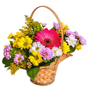 Сorporative present with delivery Tula