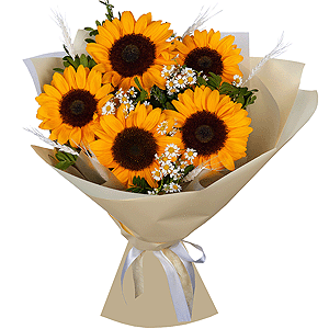 Sunflower - 9, Chamomile - 5, Dried flowers in assortment, Pistachio, Wrapping Paper