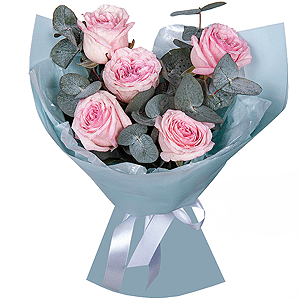 Peony style roses - 7, Eucalyptus, Wrapping Paper