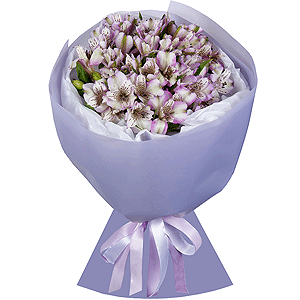 Alstromeria lilac, purple - 19, Wrapping Paper