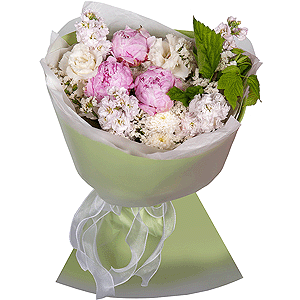 Tender Peonies with delivery Tula