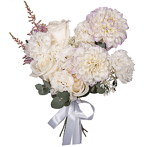Swan Tenderness with delivery Tula