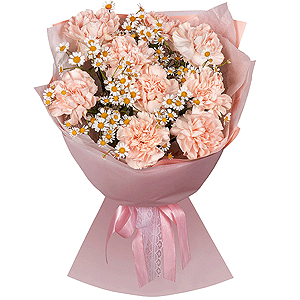 Carnation white, cream - 13, Chamomile - 4, Wrapping Paper