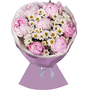 Peony pink - 7, Santini White Spray Chrysanthemum - 6, Wrapping Paper