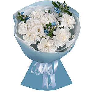 White Waltz with delivery Tula