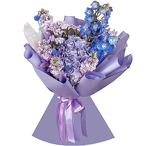 Blue/purple hydrangea - 1, Matthiola Lilac - 11, Blue Delphinium, Dried flowers in assortment, Craspedia, Blue Statice, Wrapping Paper