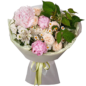 Peony pink - 3, Baltica White Spray Chrysanthemum - 1, Chamomile - 2, Spray rose: white, cream, light pink 50 cm - 2, Alstromeria white, soft pink - 8, Santini White Spray Chrysanthemum - 1,  Raspberry branch, Wrapping Paper