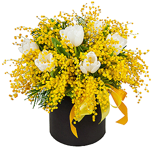 Mimosa - 4, Tulip white - 9, Round flower box small , Oasis, Film, Ribbon