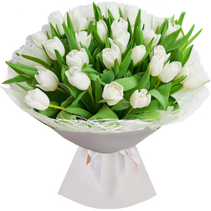 White tulips with delivery Tula