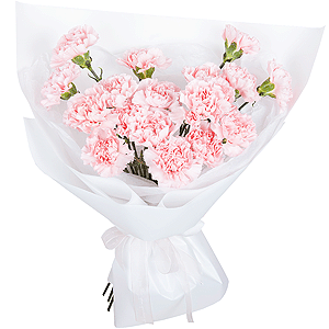 Heartfelt greetings with delivery Tula