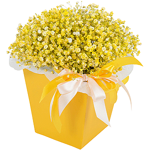 Colored gypsophila - 11, Composition Box, Oasis, Ribbon