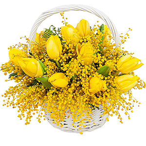 Yellow tulip - 21, Mimosa - 5, Oasis, Medium Basket